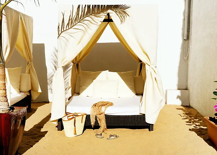 酒店 Coral & - Adults Only 美洲海滩